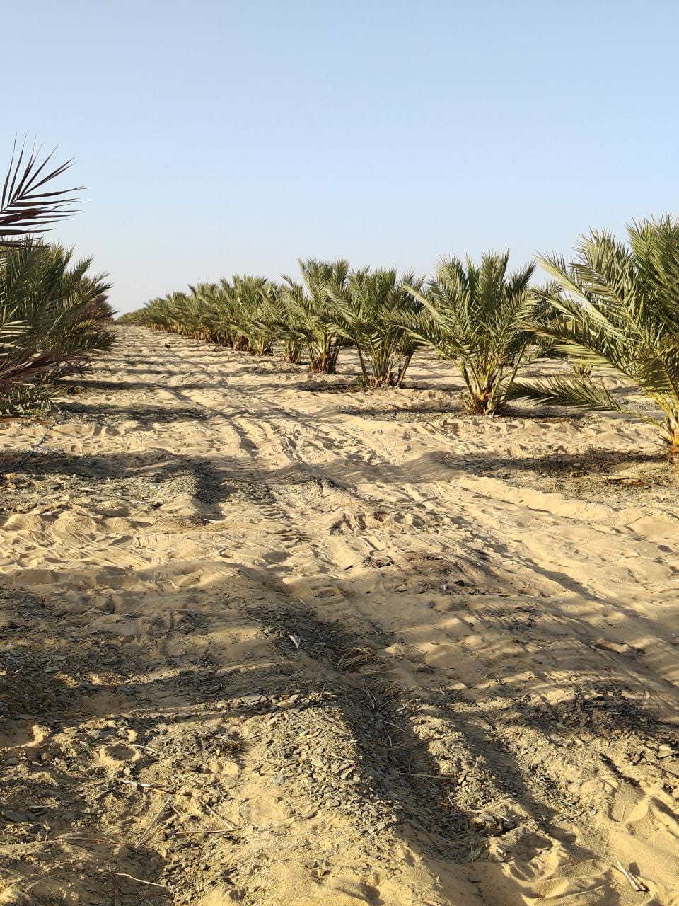 مشروع السلام – استثمار عقاري مميز في مدينة العبور الجديدة